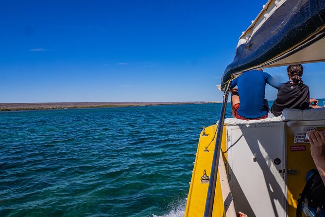 Ningaloo Immersion Private Charter - Broome Tourism